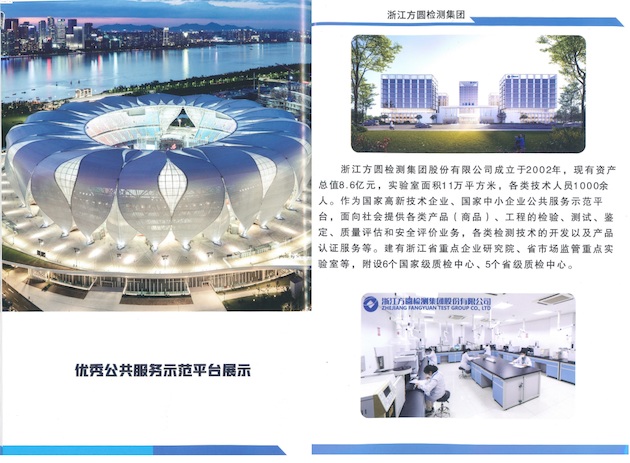 优秀公共服务示范平台展示.jpg